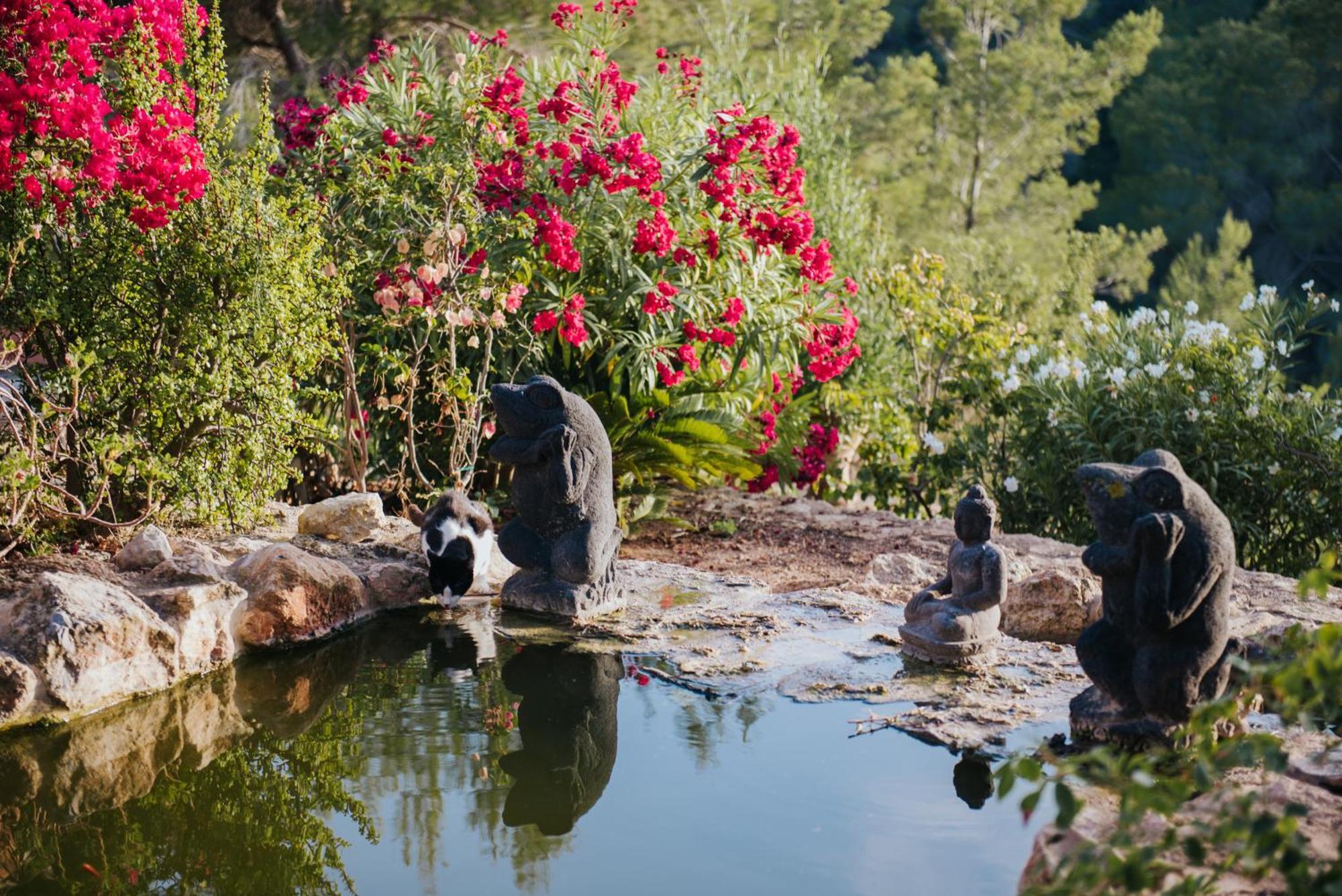 Villa & Guesthouse Paissa D'En Bernat กาลาตาริดา ภายนอก รูปภาพ